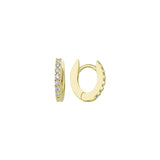 Oval Hoop Earring