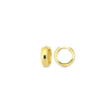 Alex Chunky Thick Hoop (medium)