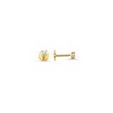 Single Stone Screw Back Stud