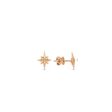 Medium Northern Star Stud