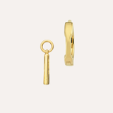 Ear Hoops and Charms