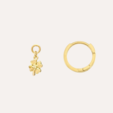 Ear Hoops and Charms