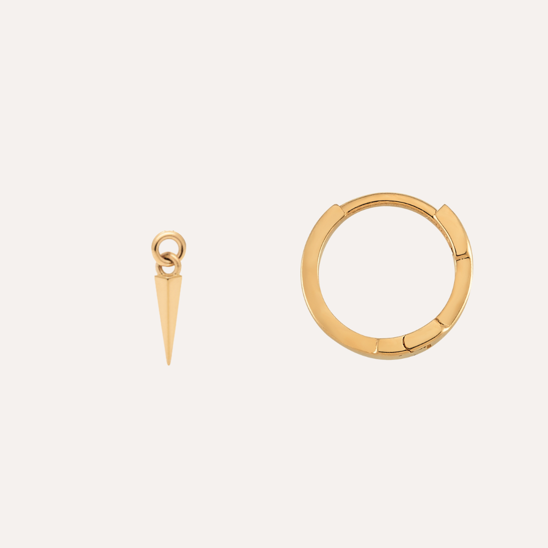 Ear Hoops and Charms